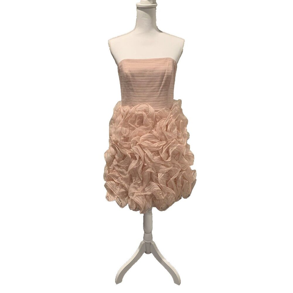 HALSTON HERITAGE Strapless Ruffle Dress Size 6 Pink NWT $595 - Picture 2 of 11